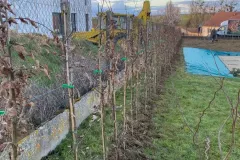 73135137639__4A0B182F-7849-4D46-BCB5-CAFD61482784