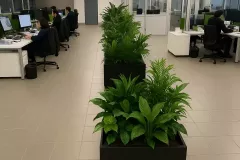 7DC58EC0-B167-4B8A-BDBF-E36ADC6071C6