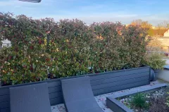 67173720073__9566ACED-782C-44FE-A316-56C435E80F59