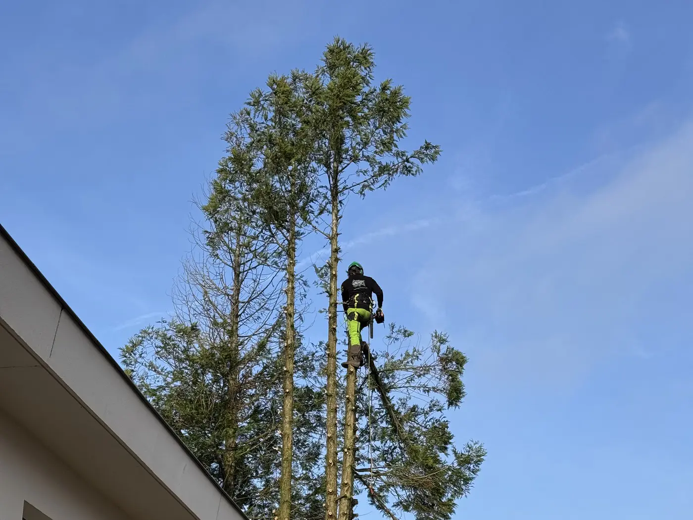 AdobeStock_106262237